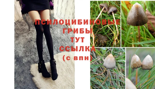 сатива Абинск