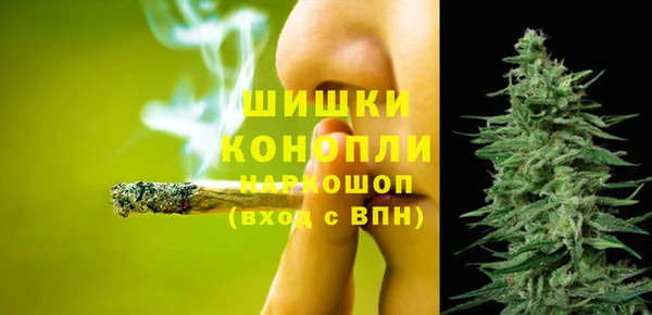 сатива Абинск
