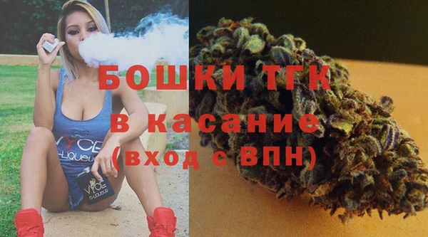 сатива Абинск
