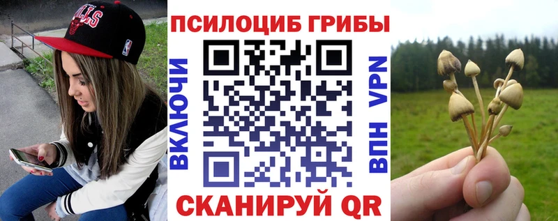 Псилоцибиновые грибы Magic Shrooms  Знаменск 