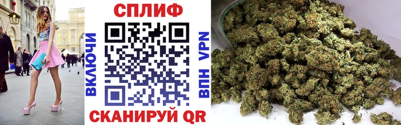 mega ССЫЛКА  цена наркотик  Знаменск  Шишки марихуана Amnesia 